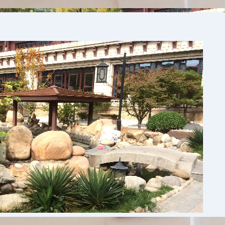 深圳logo設(shè)計(jì)作品案例展示